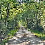 营地 Damona
