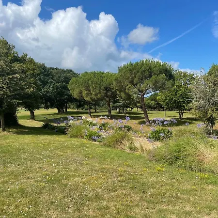 Campsite Damona