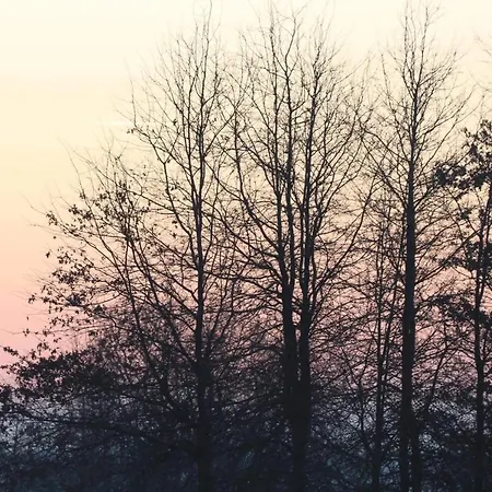 Damona Кемпинг *