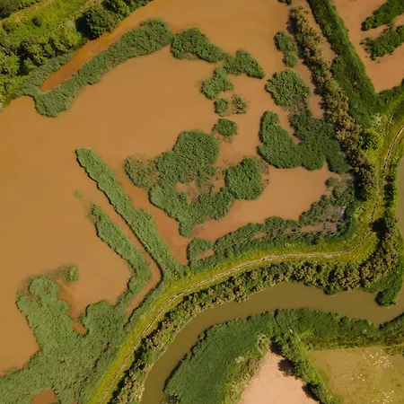 Campingplads Damona *