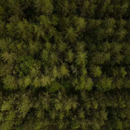 Campingplads Damona Vairé