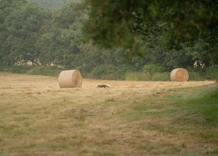 Damona 캠프장 Vairé