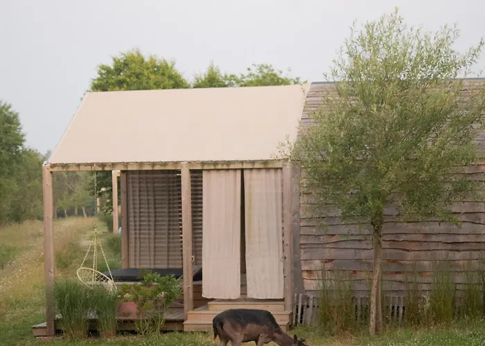 캠프장 Damona Vairé