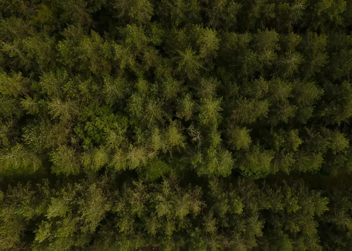 캠프장 Damona Vairé