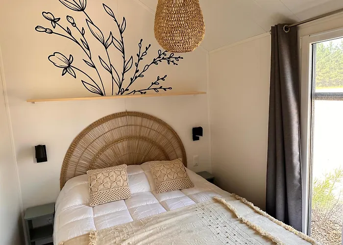 캠프장 Damona Vairé